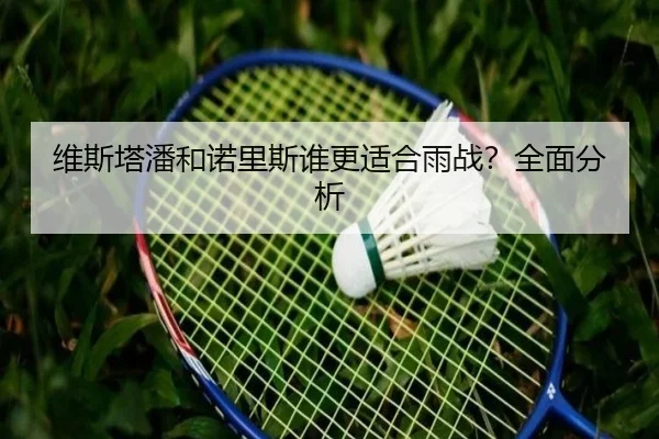 维斯塔潘和诺里斯谁更适合雨战？全面分析